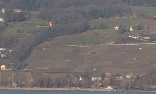 尼康标头PKAF-S50/1.4G对比AF50/1.4D(9)