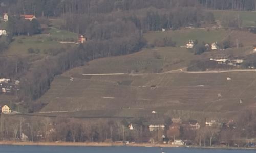 尼康标头PKAF-S50/1.4G对比AF50/1.4D(9)