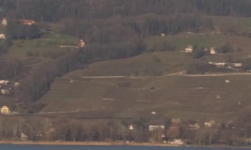 尼康标头PKAF-S50/1.4G对比AF50/1.4D(9)