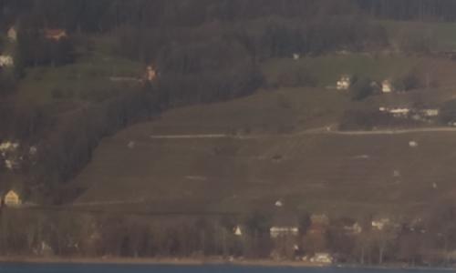 尼康标头PKAF-S50/1.4G对比AF50/1.4D(2)