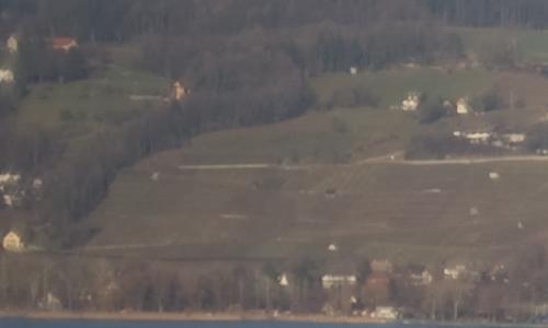 尼康标头PKAF-S50/1.4G对比AF50/1.4D(3)