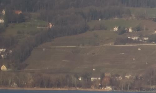 尼康标头PKAF-S50/1.4G对比AF50/1.4D(3)