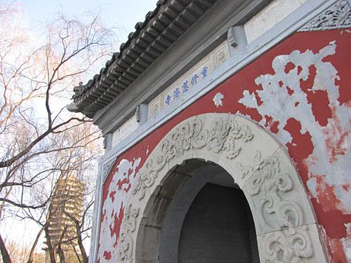 全高清威猛先生佳能长焦新品SX1IS评测(4)