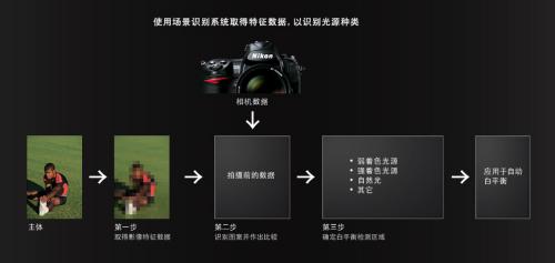 何以撼动中画幅尼康高分辨率D3X解析(5)