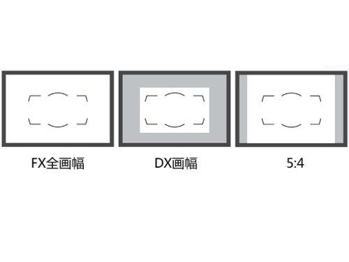 何以撼动中画幅尼康高分辨率D3X解析(6)