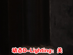 尼康D3X 尼康D3X