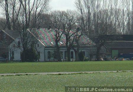 瞒不住秘密!数码单反重大缺陷回顾