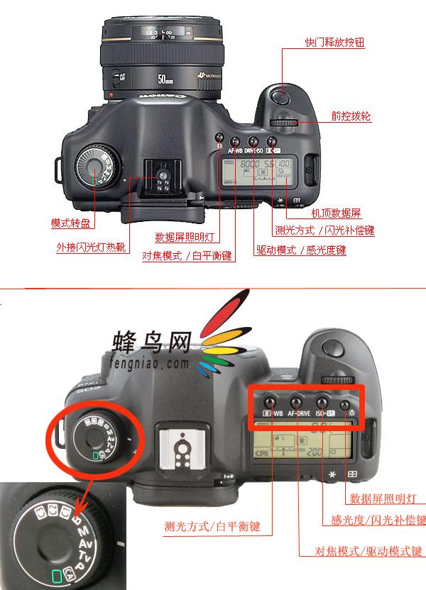 完美接棒准专业单反佳能5DMarkII评测(3)