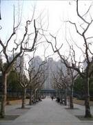 入门DC争夺战 富士J150w VS 尼康S560 