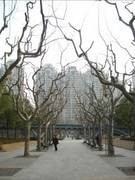 入门DC争夺战 富士J150w VS 尼康S560 