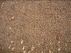 入门DC争夺战 富士J150w VS 尼康S560 