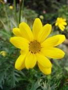 入门DC争夺战 富士J150w VS 尼康S560 