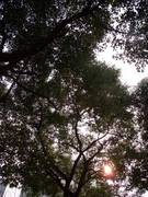 入门DC争夺战 富士J150w VS 尼康S560 