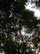 入门DC争夺战 富士J150w VS 尼康S560 