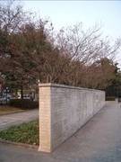 入门DC争夺战 富士J150w VS 尼康S560 