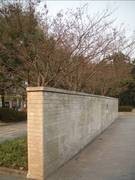 入门DC争夺战 富士J150w VS 尼康S560 