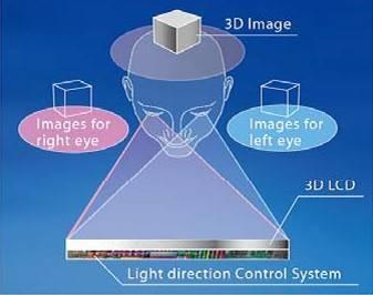 2008年数码相机市场盘点：自然3D系统