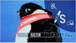 革命性突破佳能长焦王SX1IS试用评测(5)