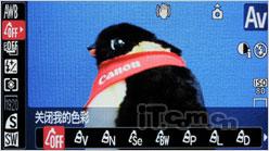 革命性突破佳能长焦王SX1IS试用评测(5)