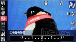 革命性突破佳能长焦王SX1IS试用评测(5)