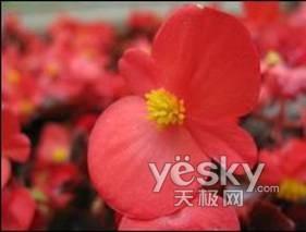 谁功能更牛通用E1050对比佳能IXUS970(3)