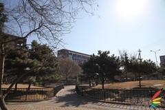 副厂镜头不副适马24-70F/2.8HSM评测(9)