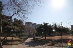 副厂镜头不副适马24-70F/2.8HSM评测(9)