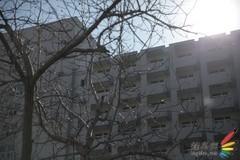 副厂镜头不副适马24-70F/2.8HSM评测(9)