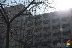 副厂镜头不副适马24-70F/2.8HSM评测(9)