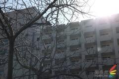 副厂镜头不副适马24-70F/2.8HSM评测(9)