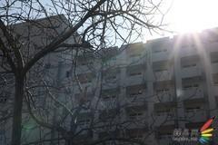 副厂镜头不副适马24-70F/2.8HSM评测(9)