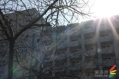 副厂镜头不副适马24-70F/2.8HSM评测(9)