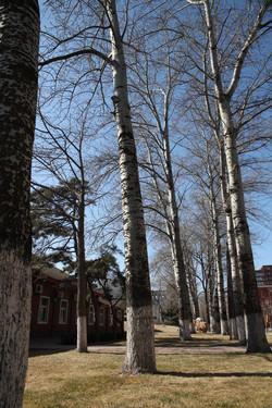 副厂镜头不副适马24-70F/2.8HSM评测(10)