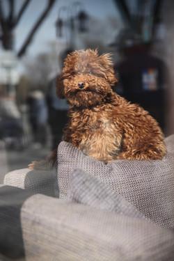 副厂镜头不副适马24-70F/2.8HSM评测(10)