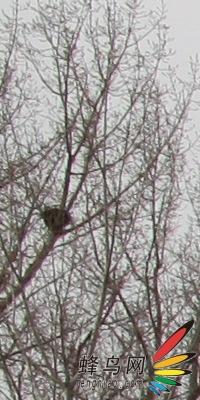 副厂镜头不副适马24-70F/2.8HSM评测(7)