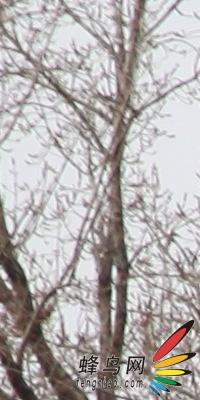 副厂镜头不副适马24-70F/2.8HSM评测(8)