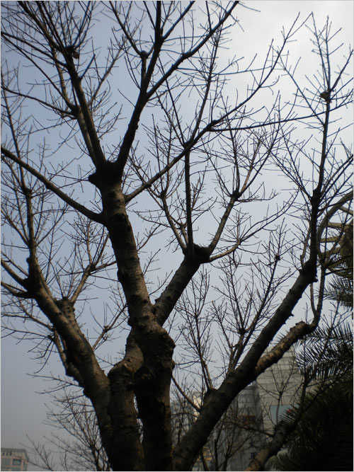 轻松一点时尚一点 尼康COOLPIX S220首测