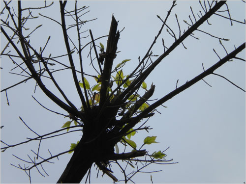 轻松一点时尚一点 尼康COOLPIX S220首测