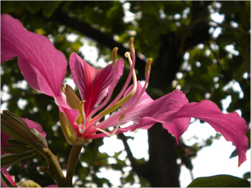 轻松一点时尚一点 尼康COOLPIX S220首测