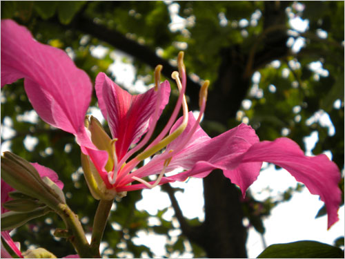 轻松一点时尚一点 尼康COOLPIX S220首测