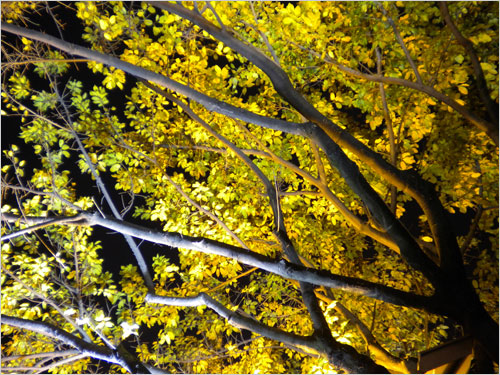 轻松一点时尚一点 尼康COOLPIX S220首测