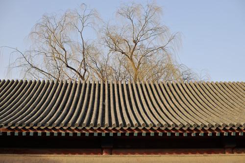 2450万像素顶级全画幅单反尼康D3X评测(10)