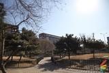 赤壁之战适马24-70佳能24-70对比评测(9)