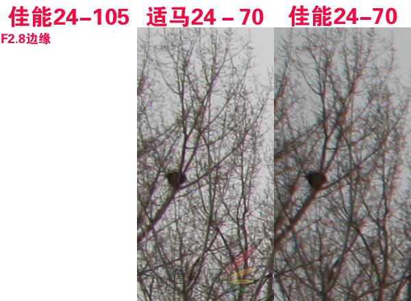 赤壁之战适马24-70佳能24-70对比评测(5)