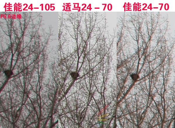 赤壁之战适马24-70佳能24-70对比评测(5)