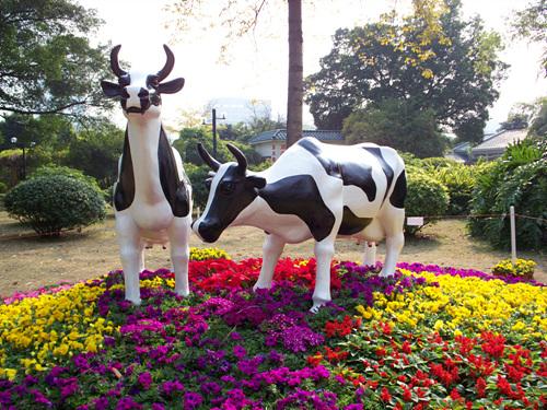 入门家用DC最高像素柯达Z1485IS评测(7)