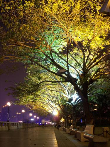 入门家用DC最高像素柯达Z1485IS评测(9)