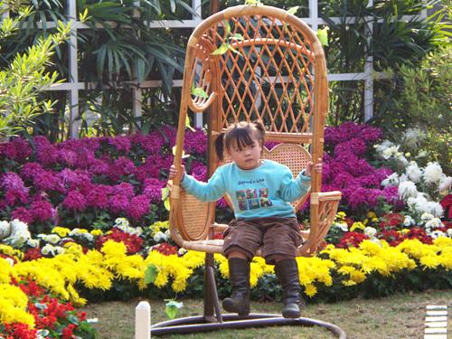 入门家用DC最高像素柯达Z1485IS评测(10)