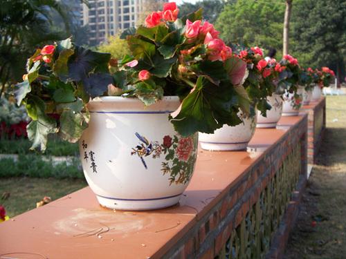 入门家用DC最高像素柯达Z1485IS评测(10)