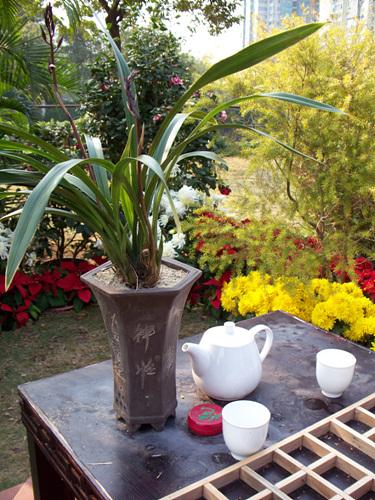 入门家用DC最高像素柯达Z1485IS评测(11)